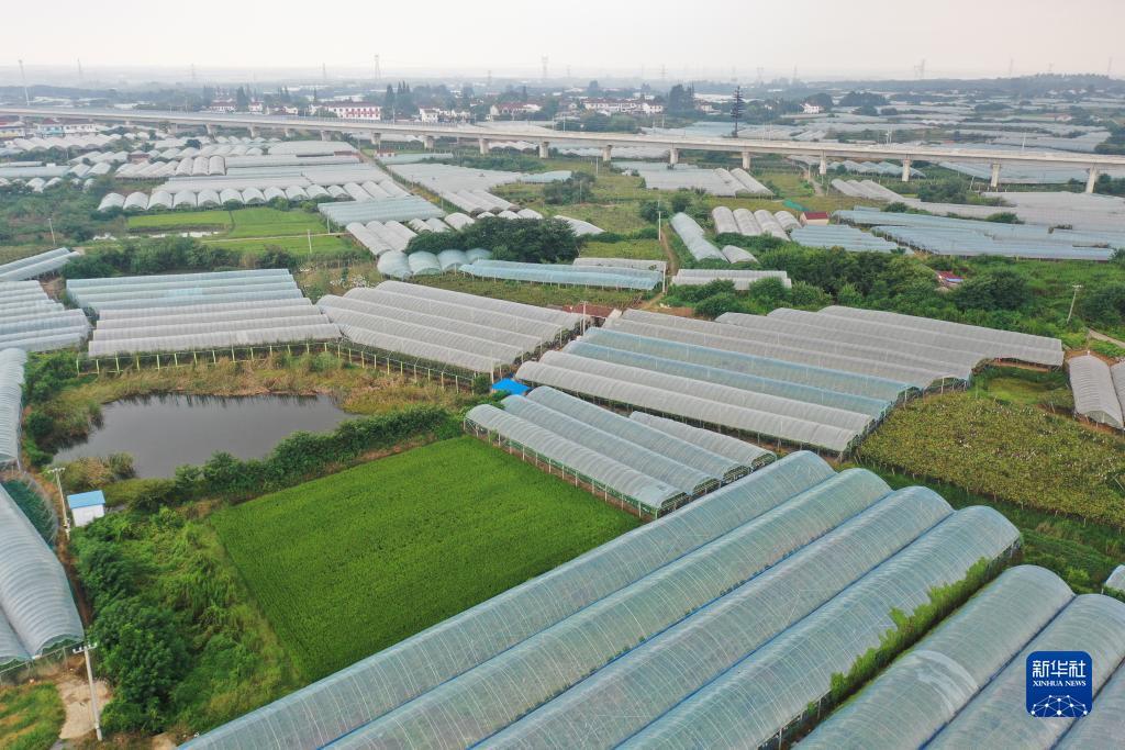 下载mg赌场