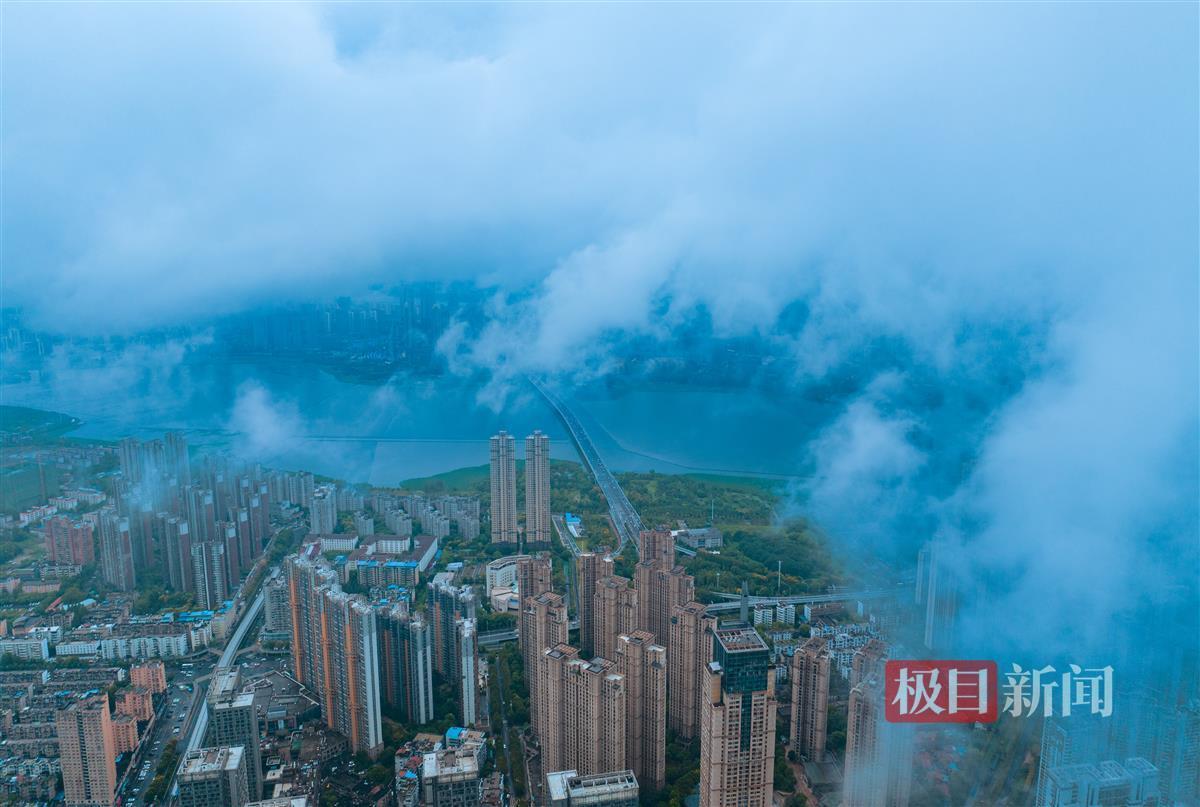 财富仿会员登录中心